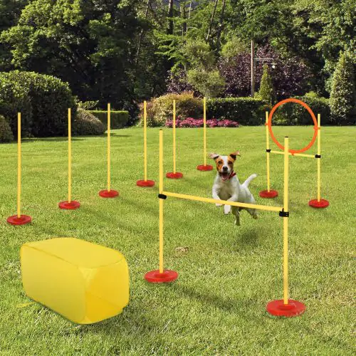  Dogs 4-Obstacle ABS Agility Training Set Yellow/Red