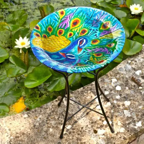 5030011 | Peacock Birdbath