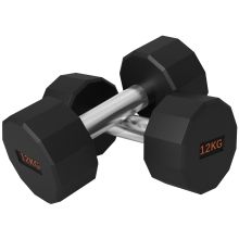 SPORTNOW 2 x 12kg Dumbbells Weights Set with 12 Sided Shape and Non Slip Grip for Men Women Home Gym Workout