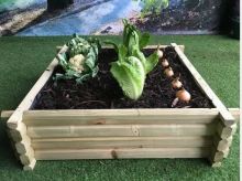 Large Square Raised Veg bed